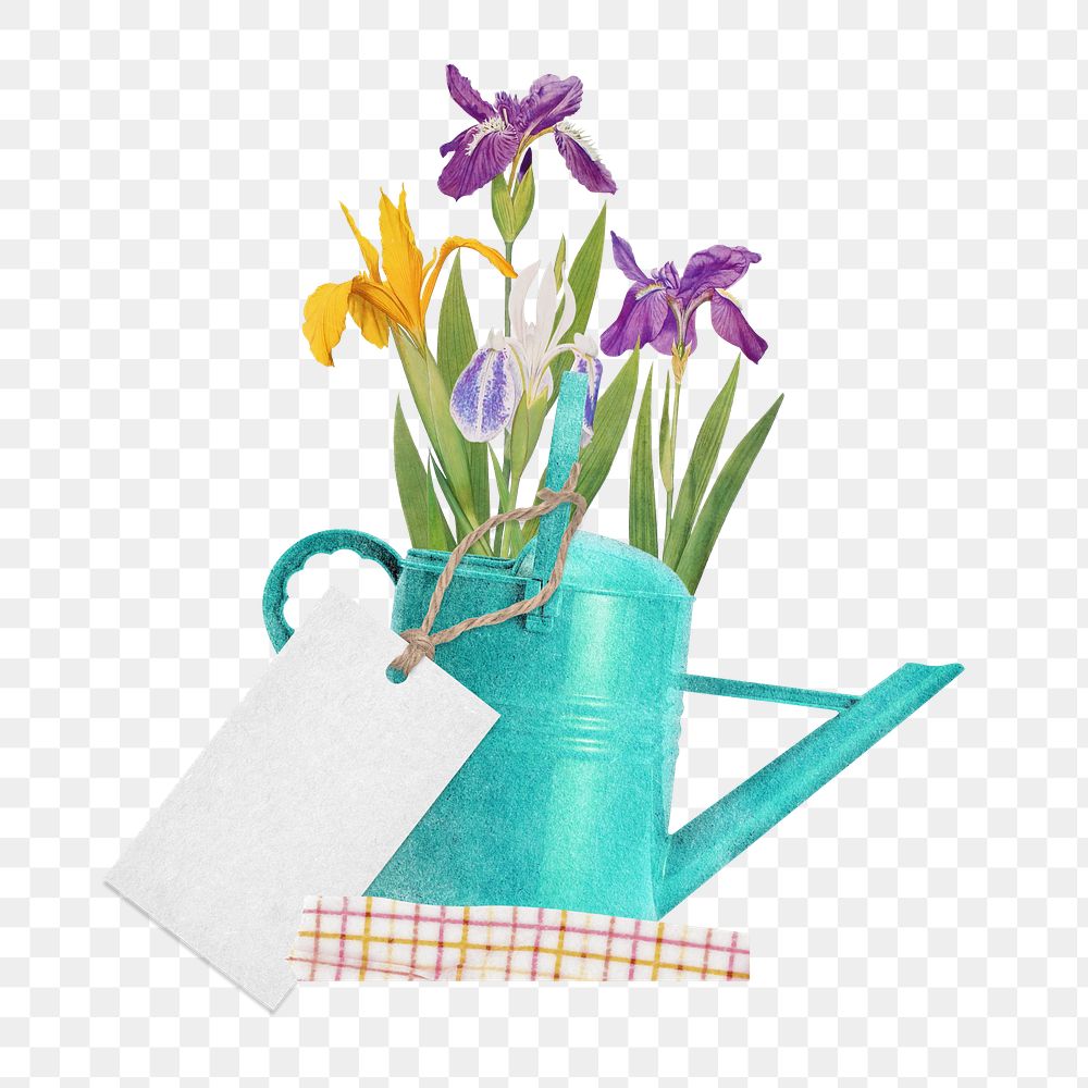 Spring flower png iris in watering can sticker, transparent background