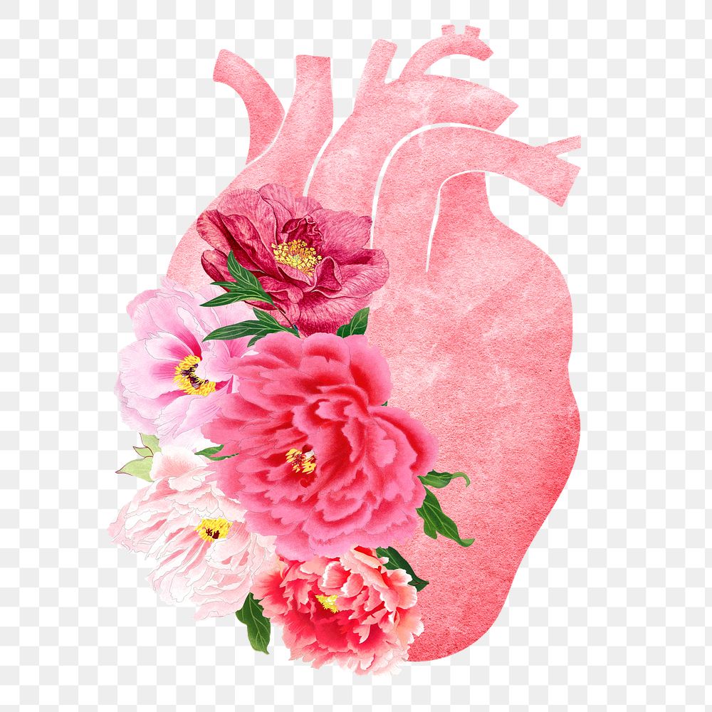 Floral human heart png sticker, surreal collage, transparent background