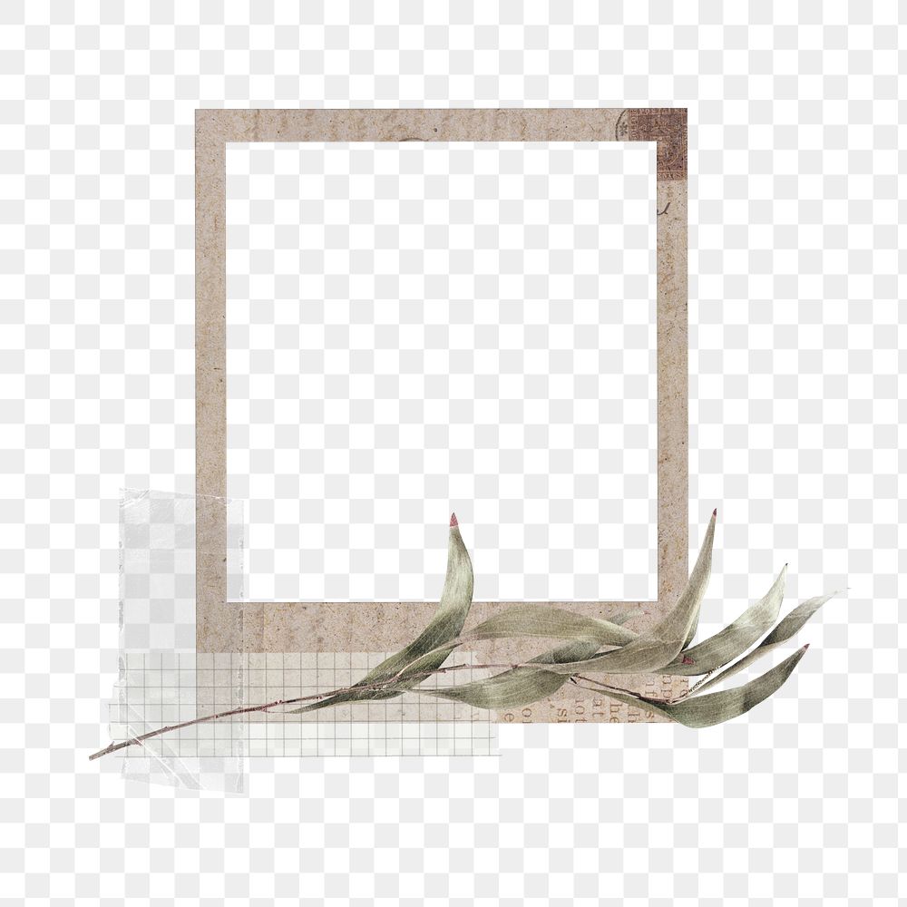 Autumn botanical png frame, retro instant film on transparent background