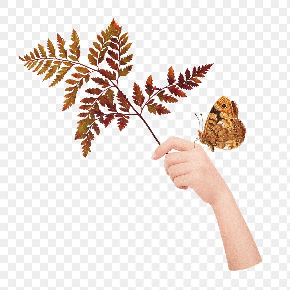 Autumn leaf branch  png sticker, transparent background