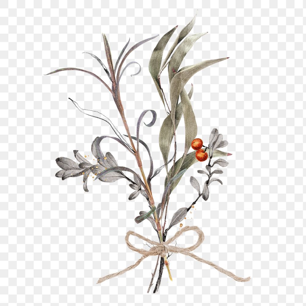 Red berry branch  png sticker, transparent background
