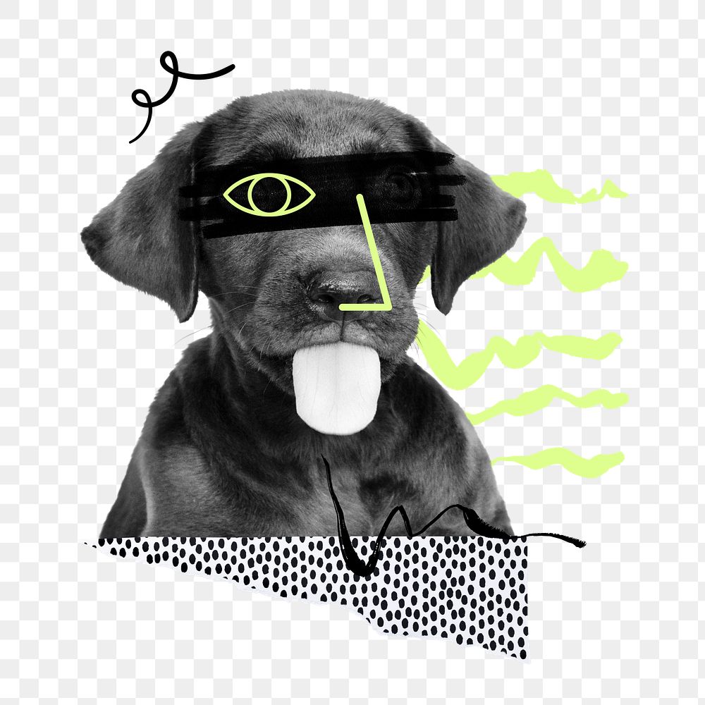 Funny dog png sticker, cute face doodle, abstract collage  on transparent background