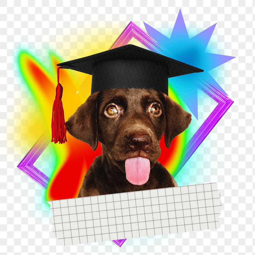 Funny graduate dog png sticker, creative neon gradient remix on transparent background