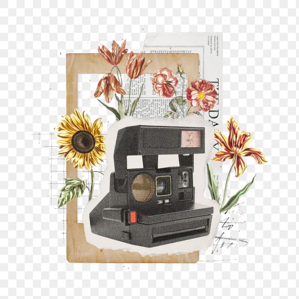 Photograph hobby png floral camera, transparent background