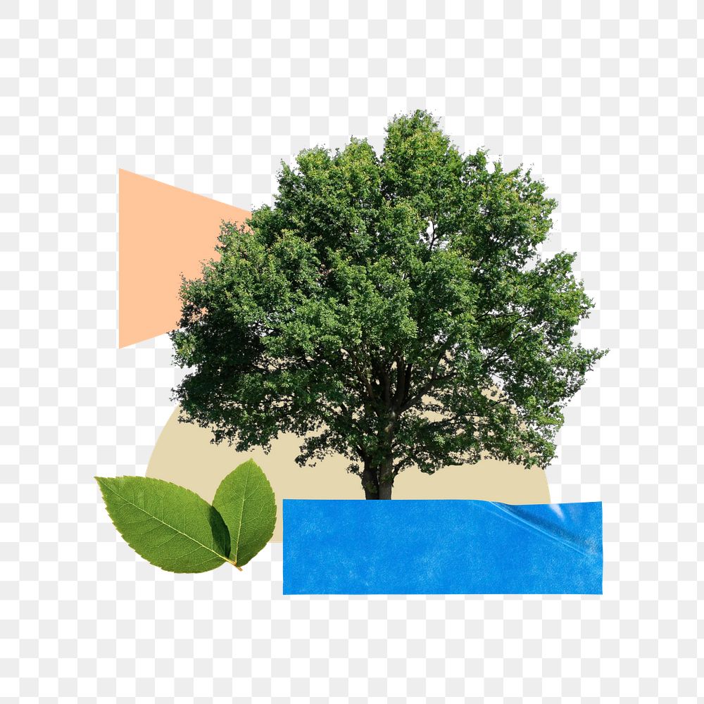 Lone tree png, creative environment collage art, transparent background