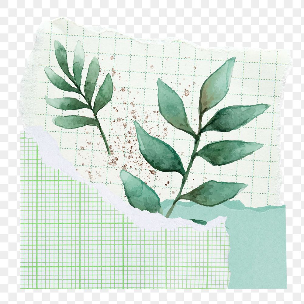 Leaf branches aesthetic png, nature collage art, transparent background