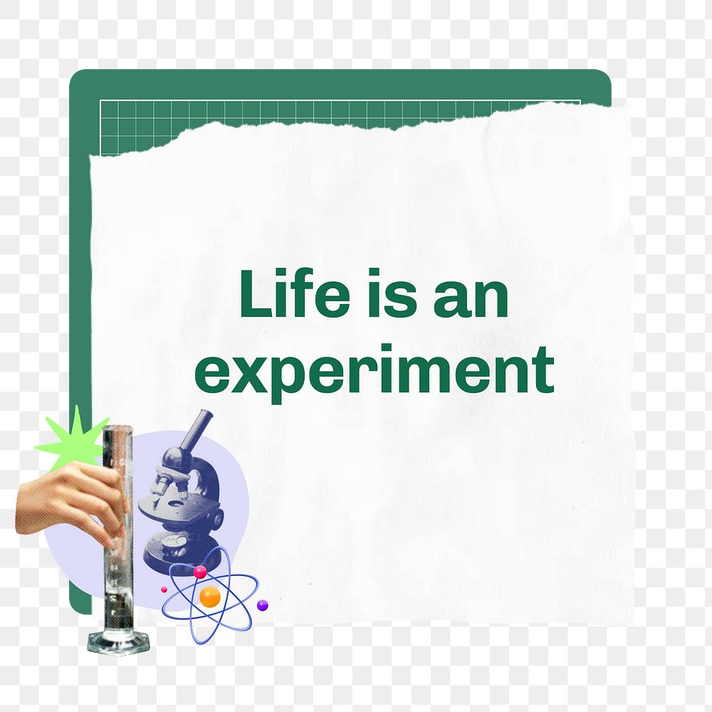 Life is an experiment png word, education collage art, transparent background