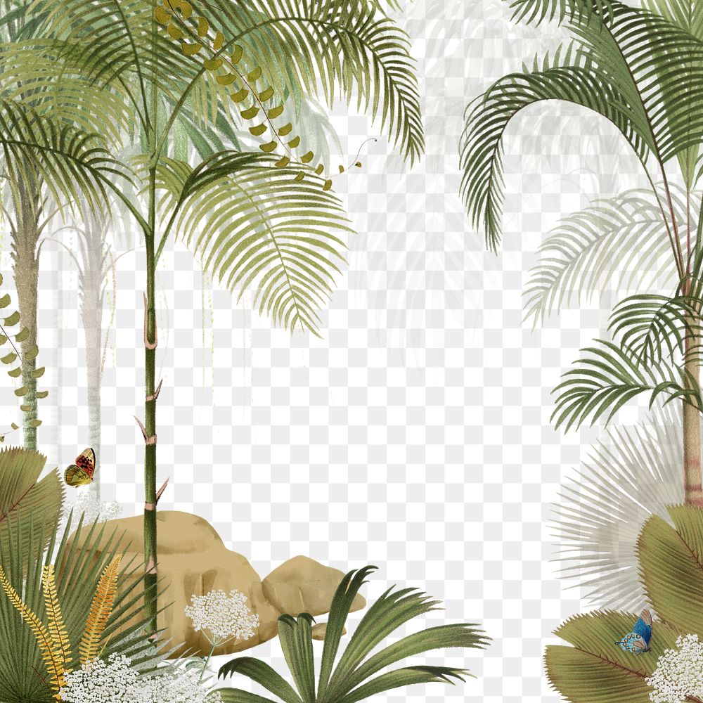 Palm tree png jungle, transparent background