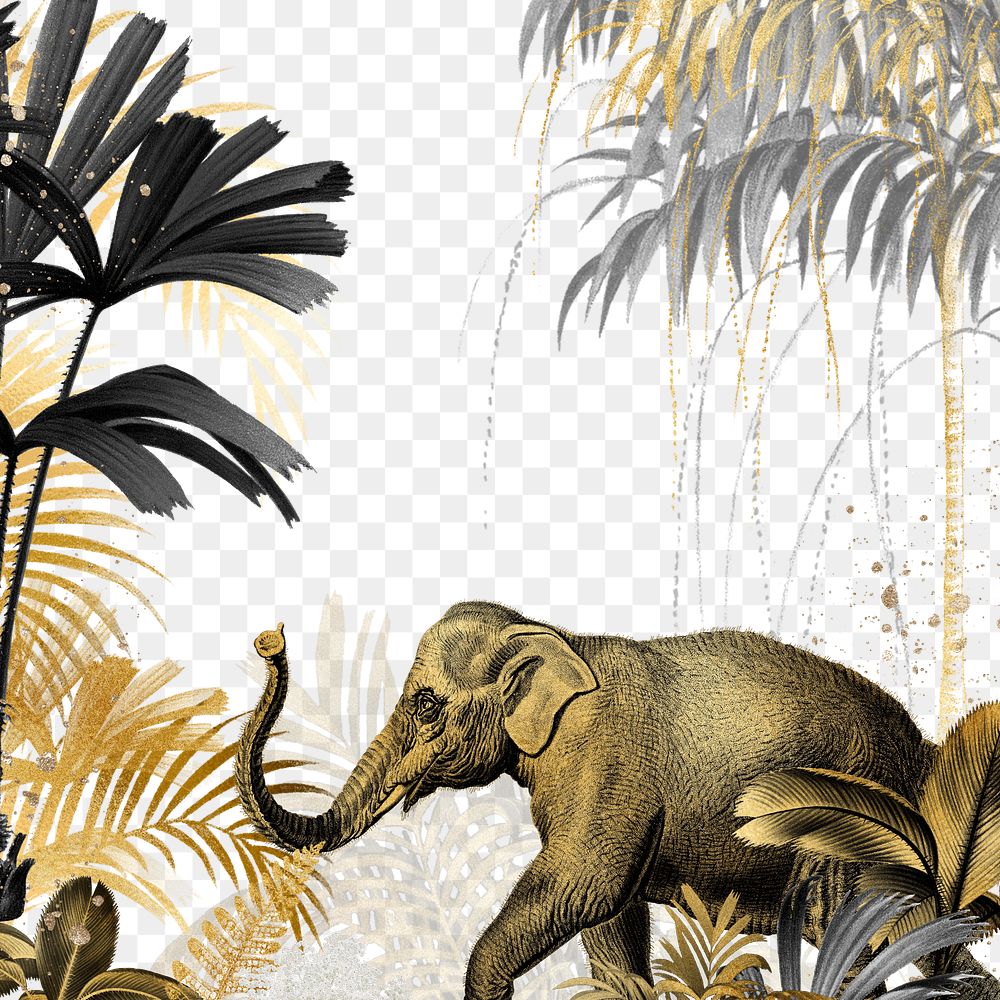 Wild elephant png gold, transparent background