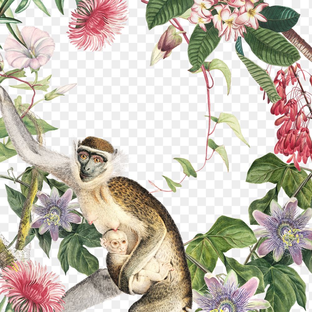 Floral monkey png jungle, transparent background