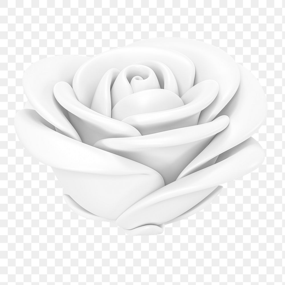 White rose png flower, 3D illustration, transparent background
