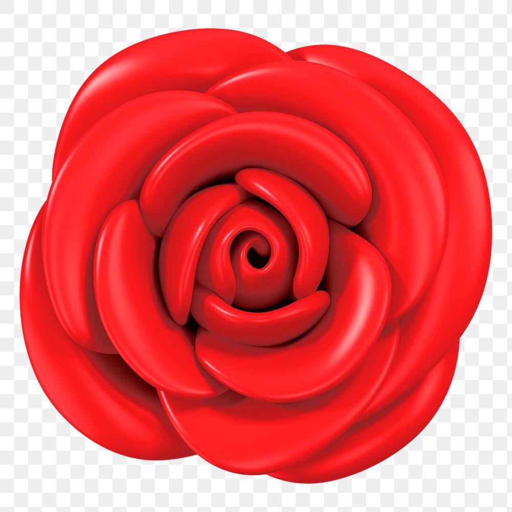 Red rose png flower, 3D illustration, transparent background