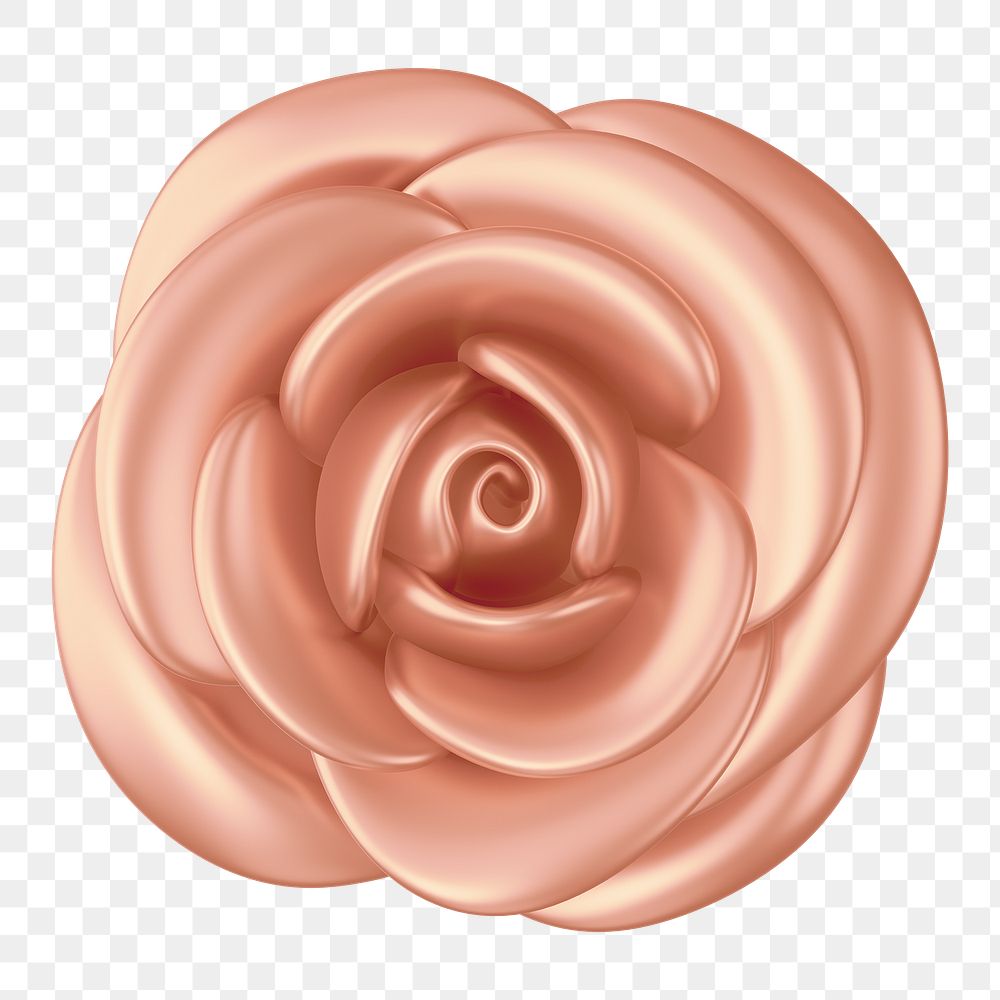 Copper gold rose png flower, 3D illustration, transparent background