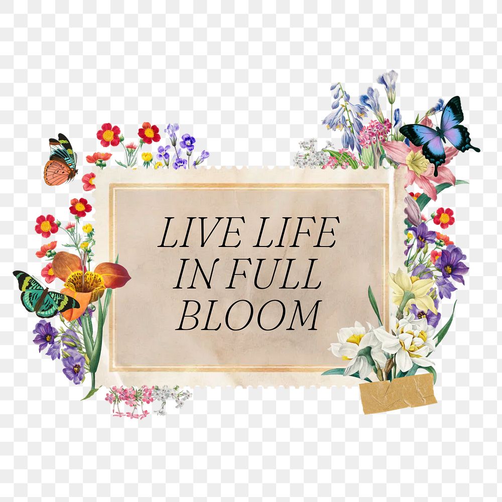 Live life in full bloom png quote, aesthetic flower collage art on transparent background