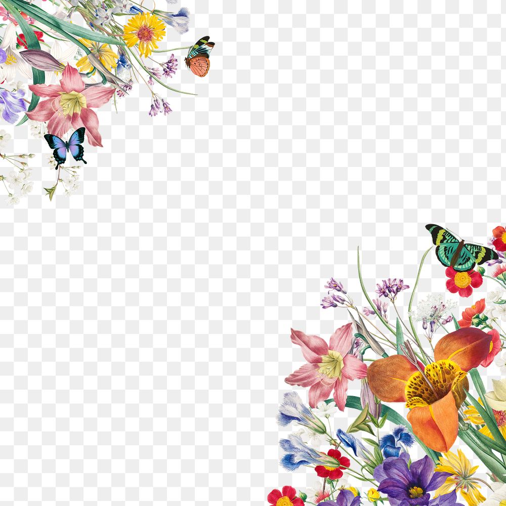 Spring flower border png, transparent background