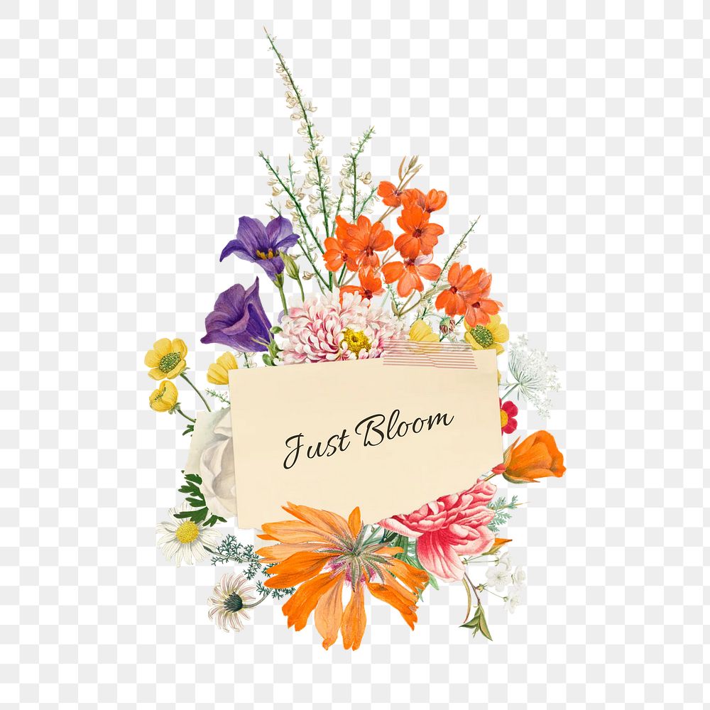 Just bloom png word, aesthetic flower bouquet collage art on transparent background