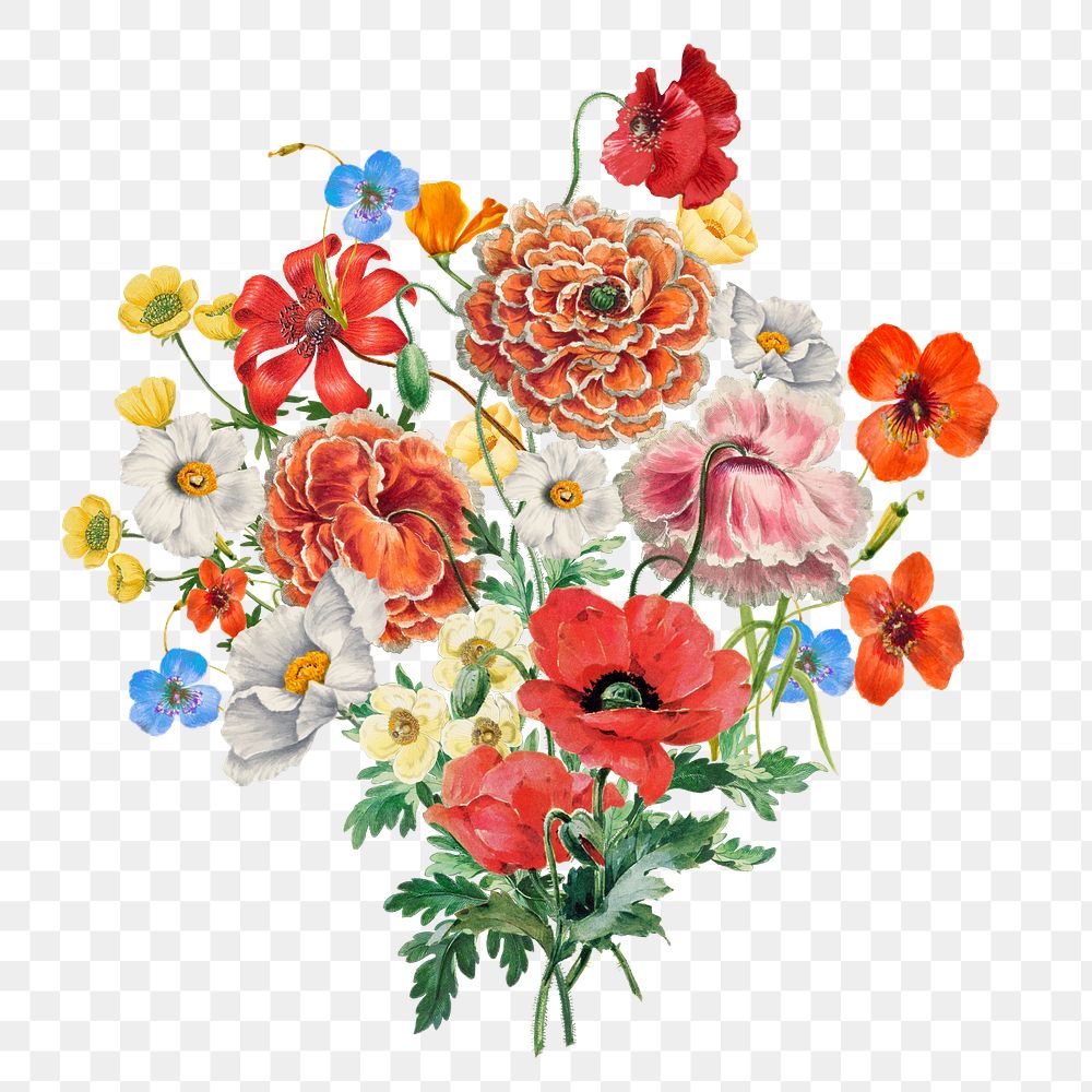 Summer flower bouquet png element, transparent background