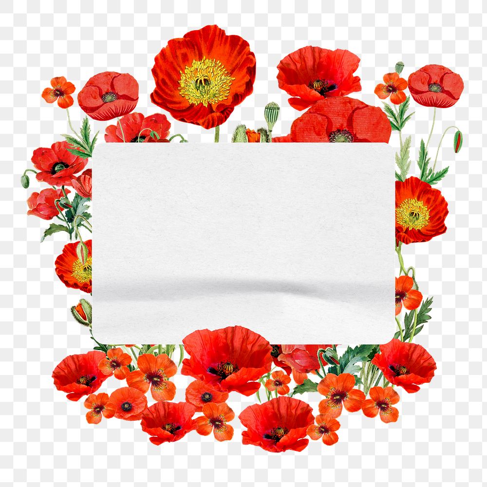 Note paper png , poppy flowers collage, transparent background