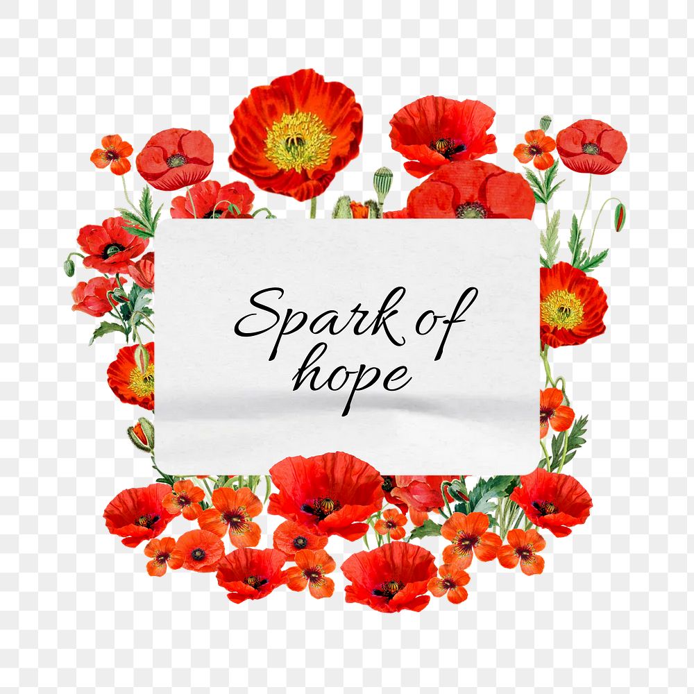 Spark of hope png word, aesthetic flower collage art  on transparent background