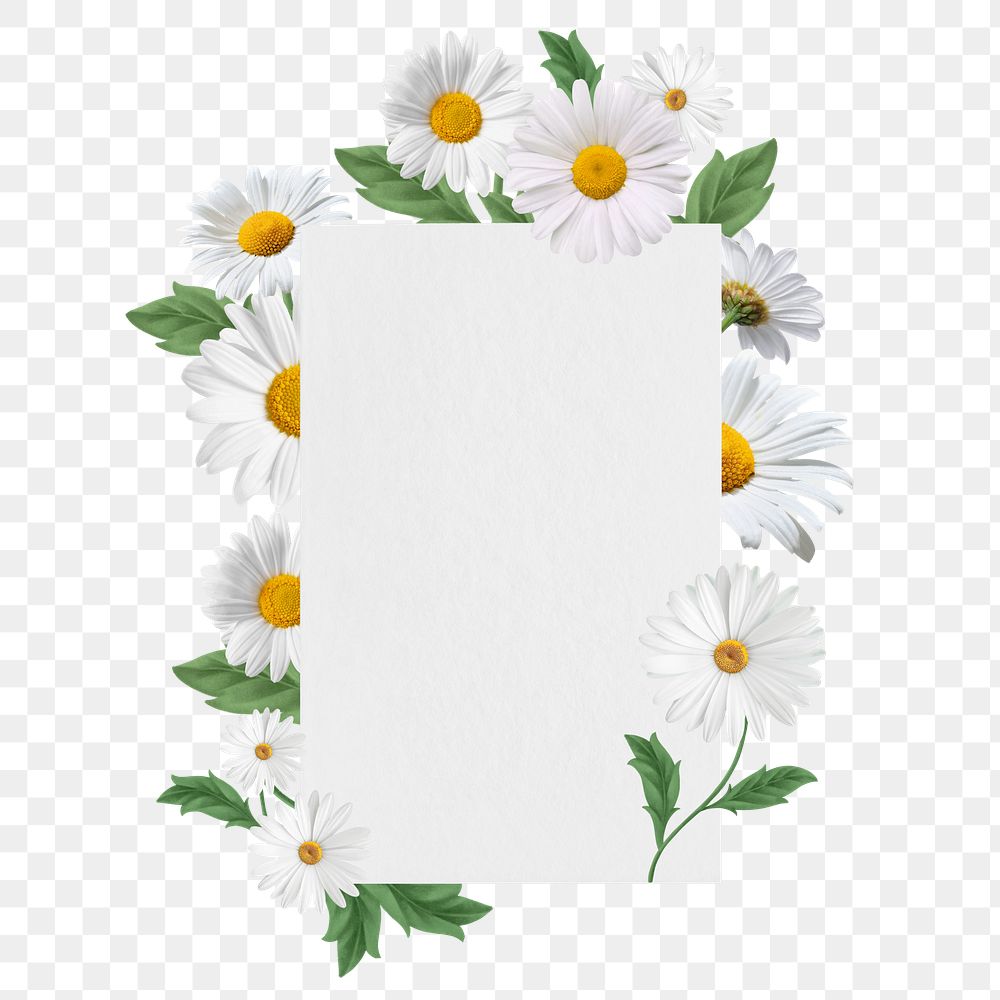 White daisy flower png badge, aesthetic botanical collage, transparent background