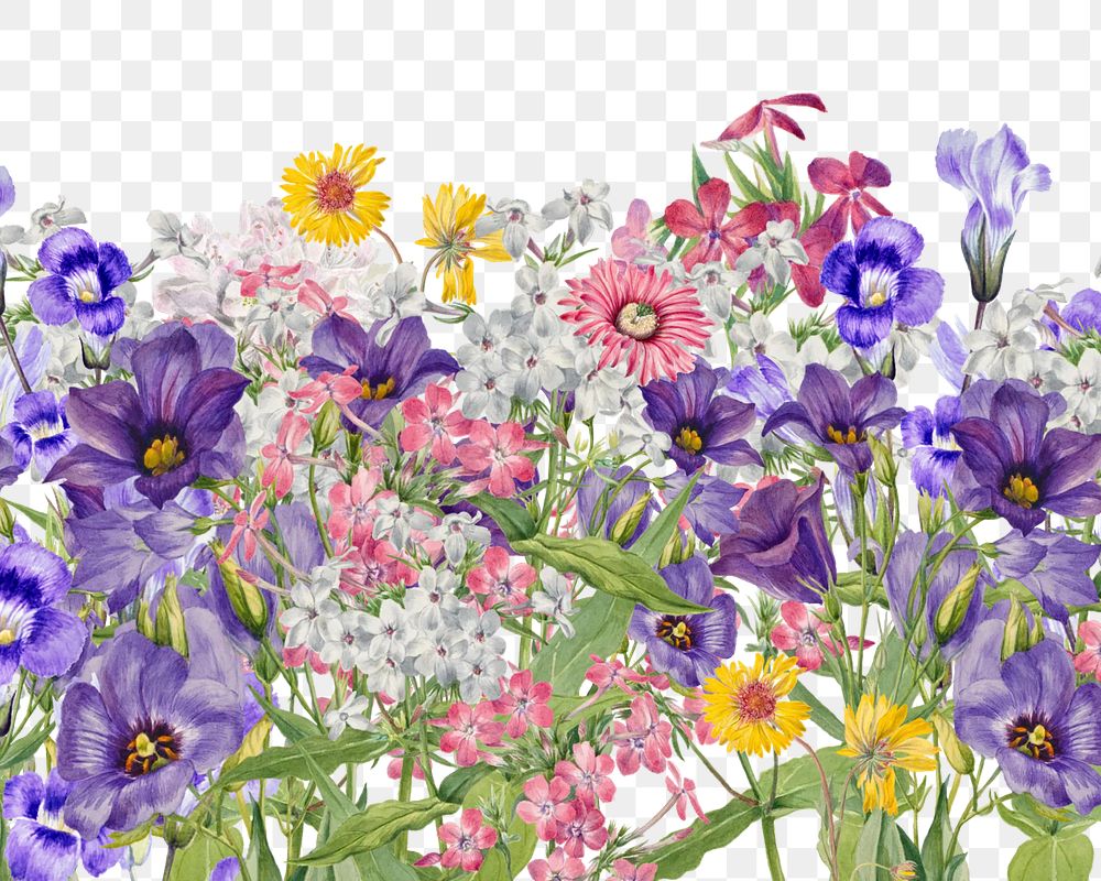 Aesthetic purple flowers png border, transparent background