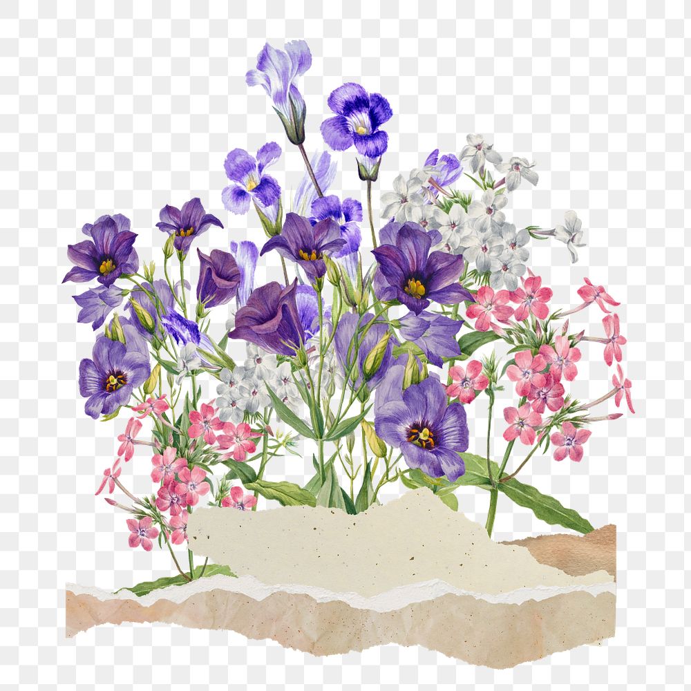 Aesthetic purple flower png, paper collage element, transparent background