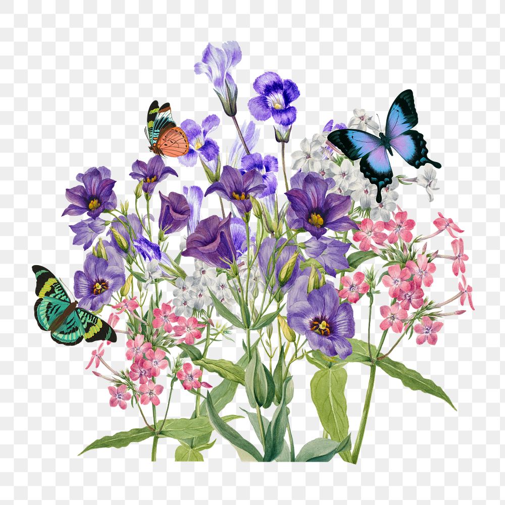 Purple Texas bluebell flower png element, transparent background