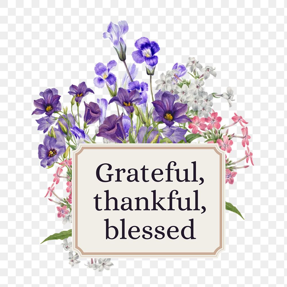 Grateful, thankful, blessed png word, aesthetic flower collage art on transparent background