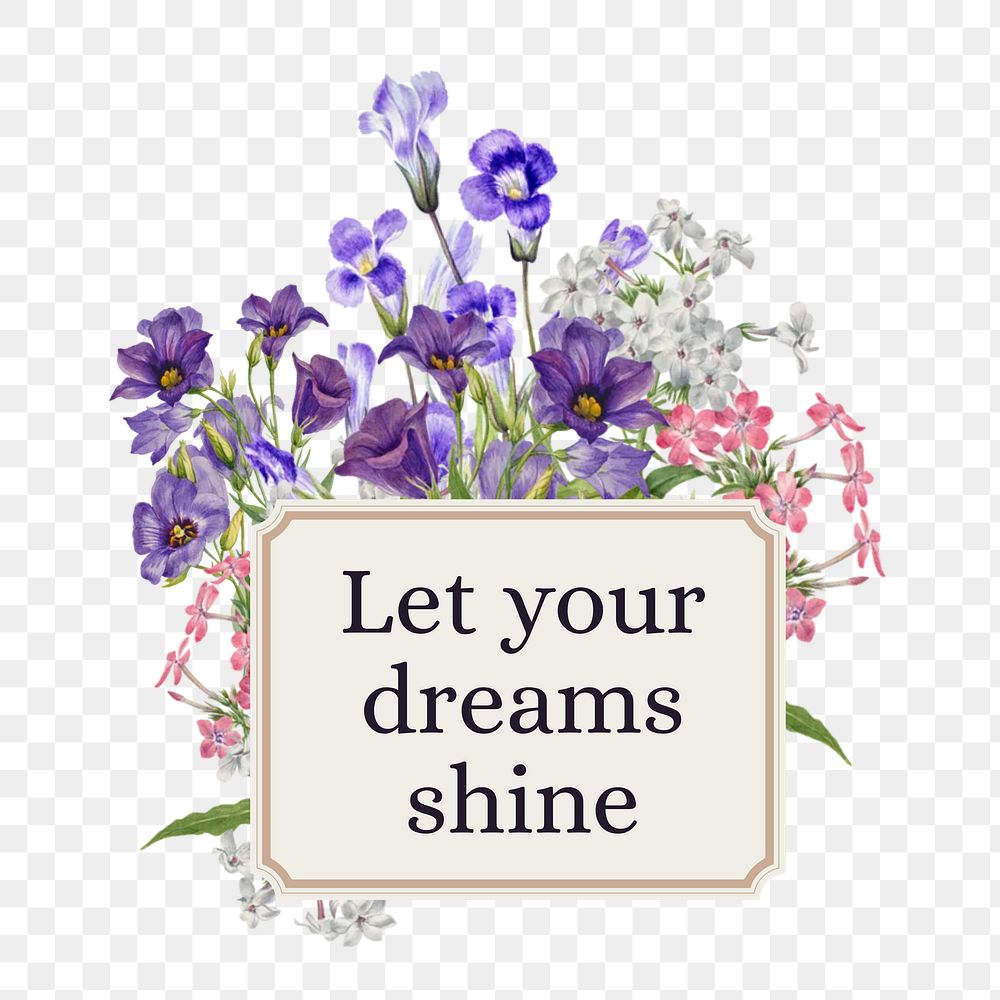 Let your dreams shine png word, aesthetic flower collage art on transparent background