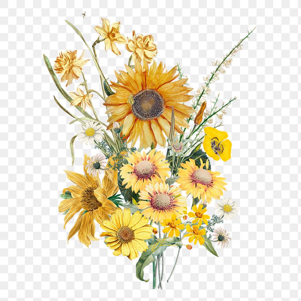 Sunflower bouquet flower png element, transparent background