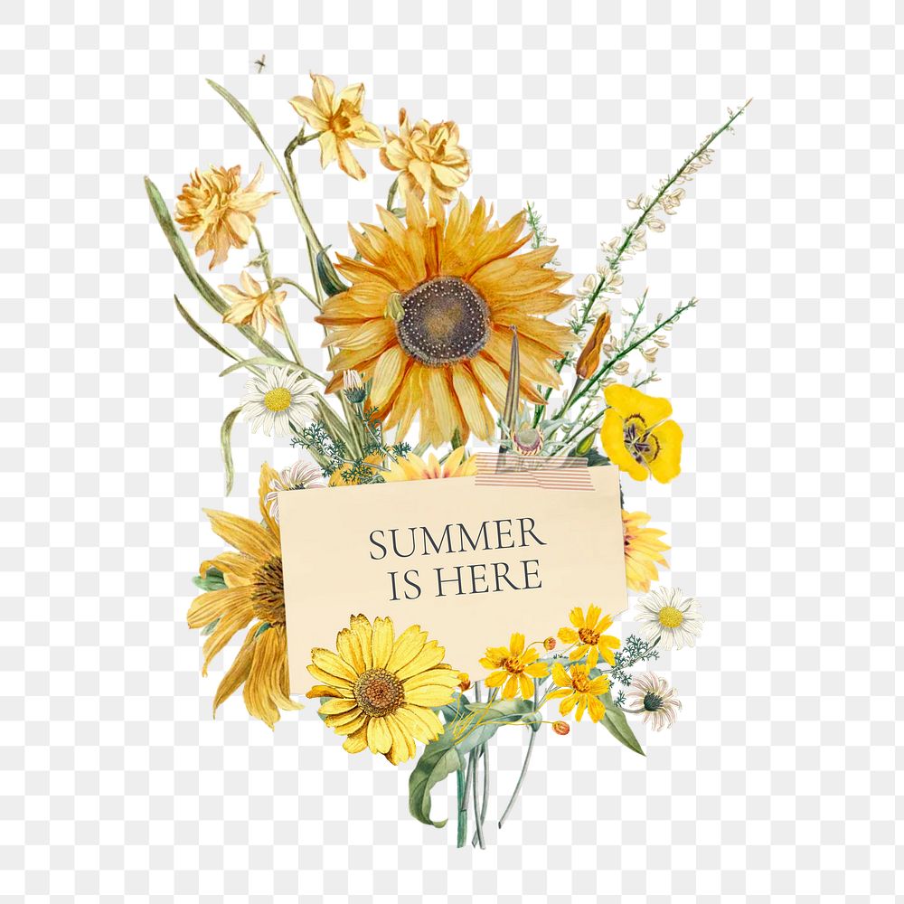 Summer is here png word, aesthetic flower bouquet collage art on transparent background