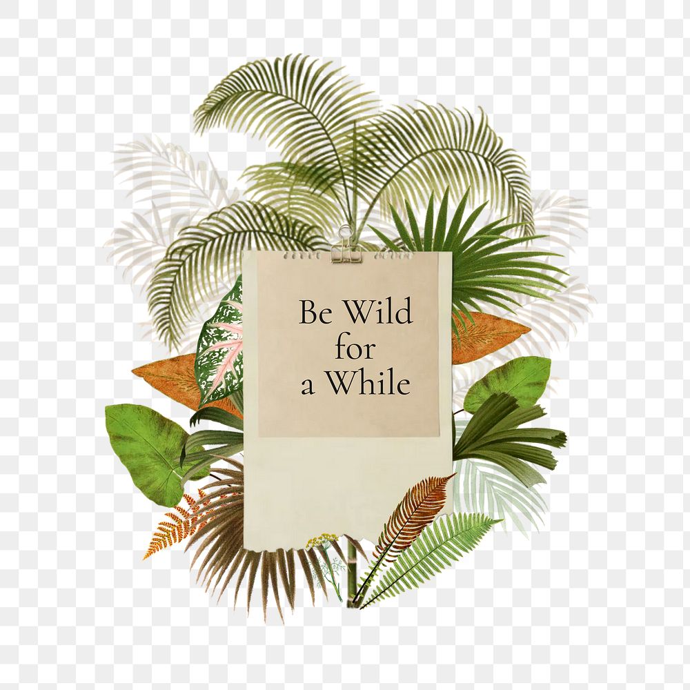 Be wild png word, aesthetic collage art on transparent background