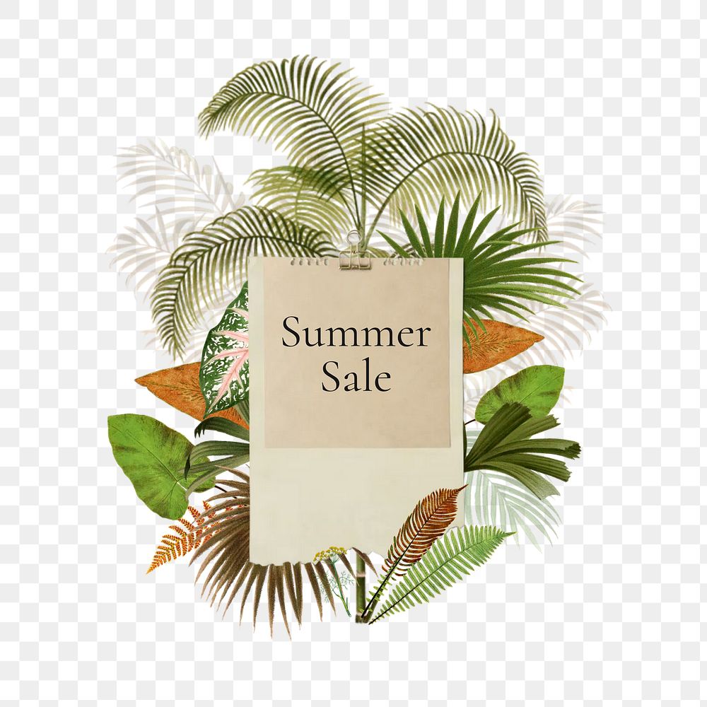 Summer sale png word, aesthetic collage art on transparent background