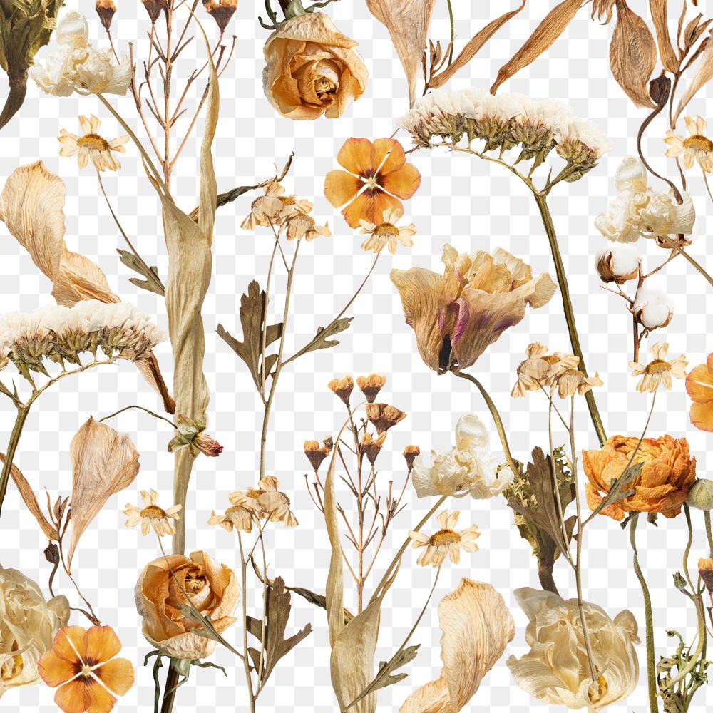 Aesthetic Autumn flower png seasonal botanical, transparent background