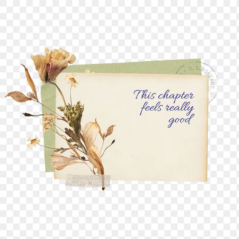 Feel good png quote, Autumn flower collage art on transparent background