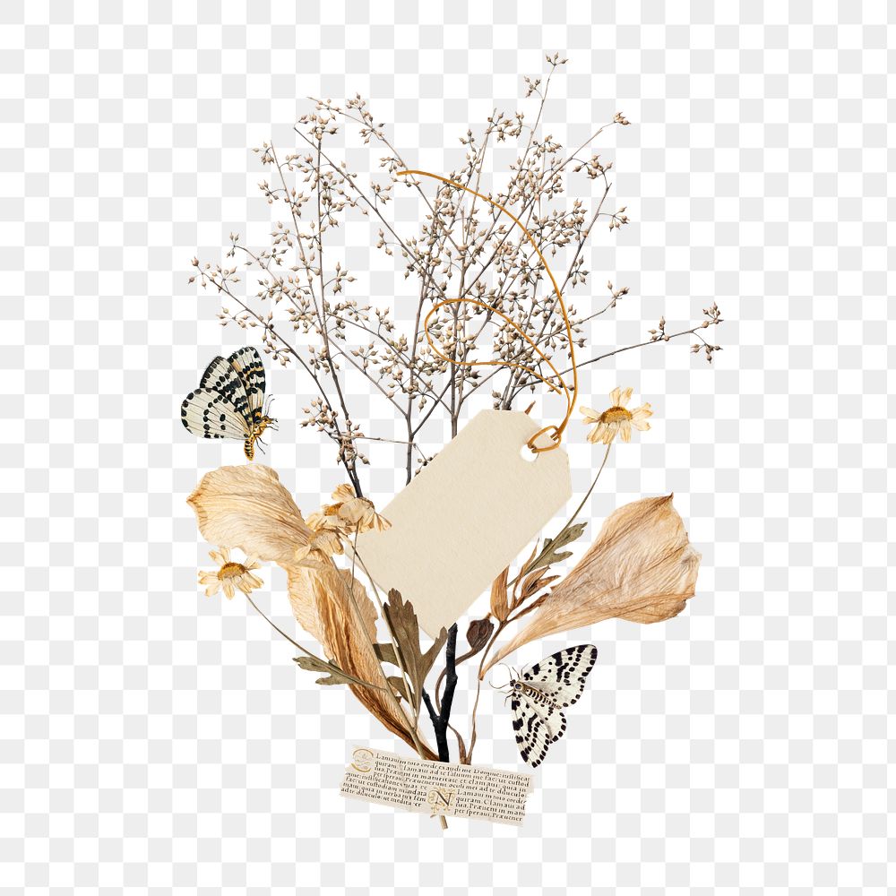 Autumn leaf branch png washi tape, journal collage element, transparent background