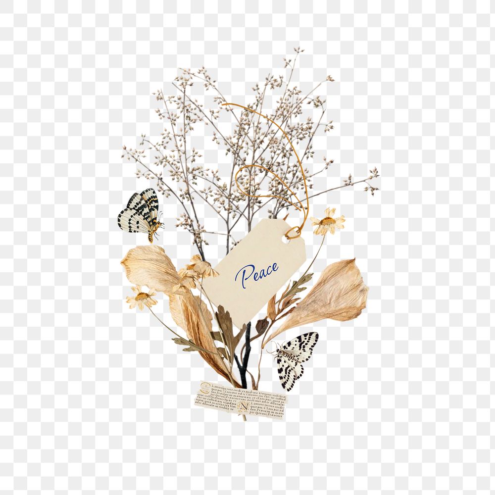 Peace png word, Autumn flower bouquet collage art on transparent background