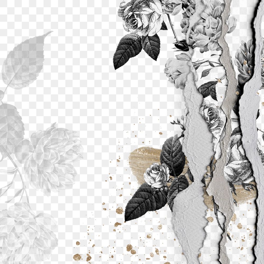 Floral ripped paper png border, transparent background