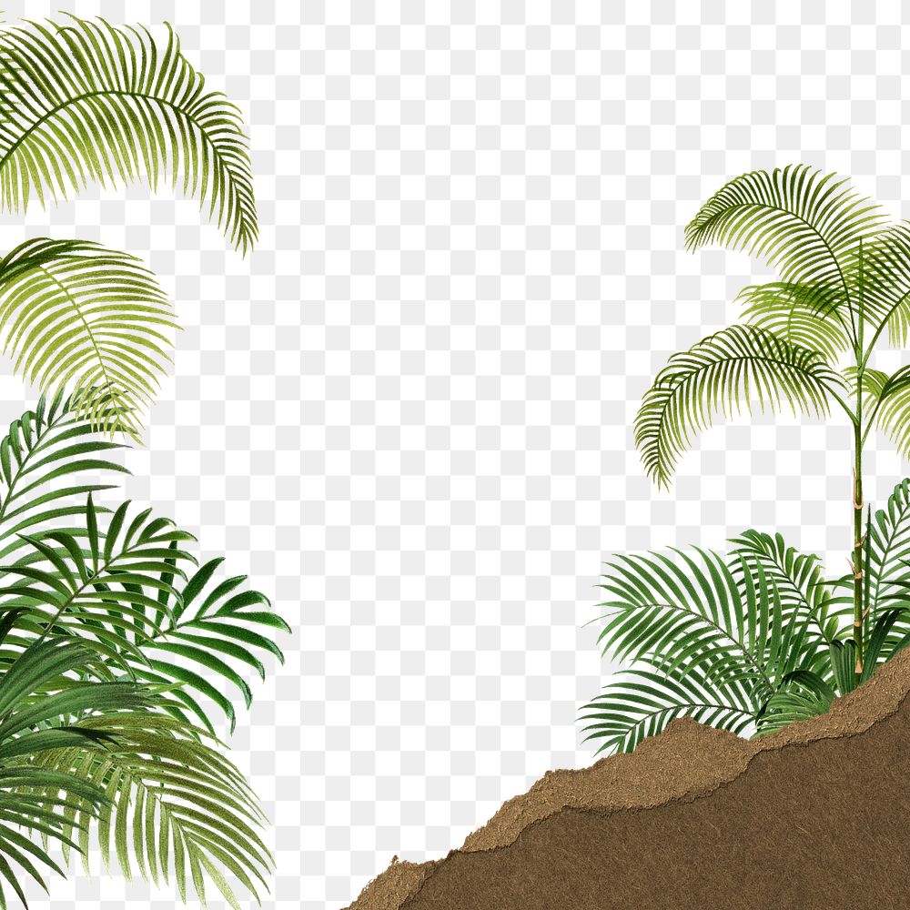 Tropical palm trees png border, ripped paper, transparent background