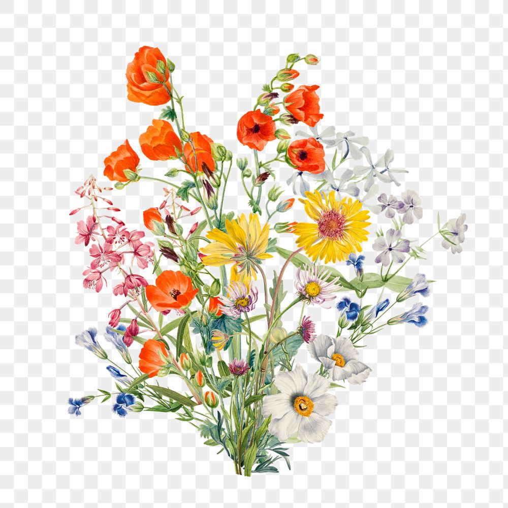 Colorful wildflower bouquet flower png element, transparent background
