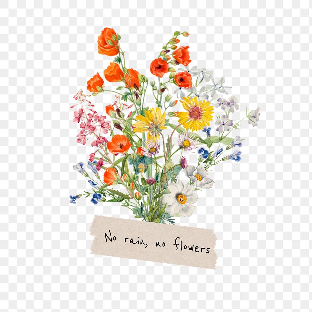 No rain no flower png word, aesthetic flower bouquet collage art on transparent background