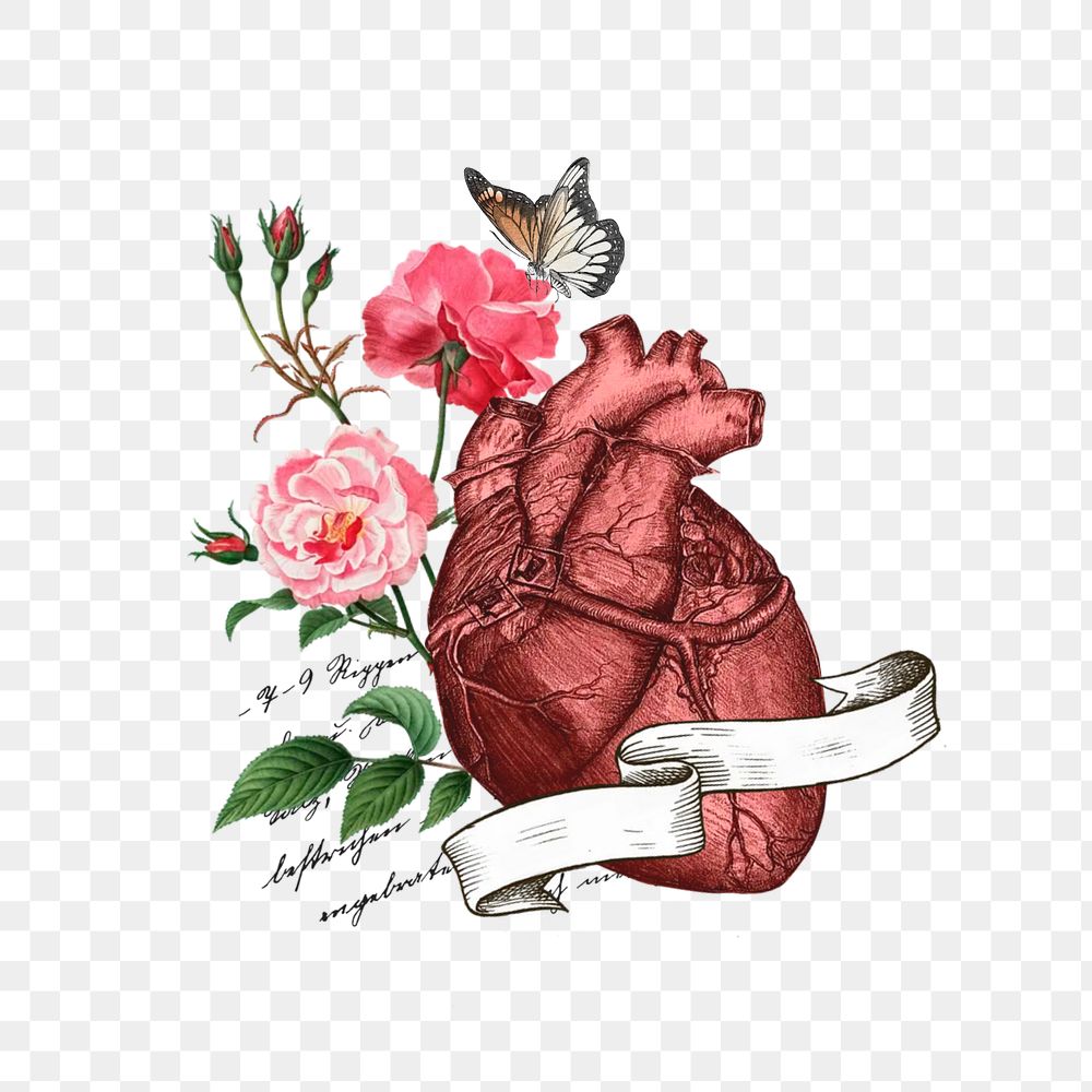 Floral human heart png, health, transparent background. Remixed by rawpixel.