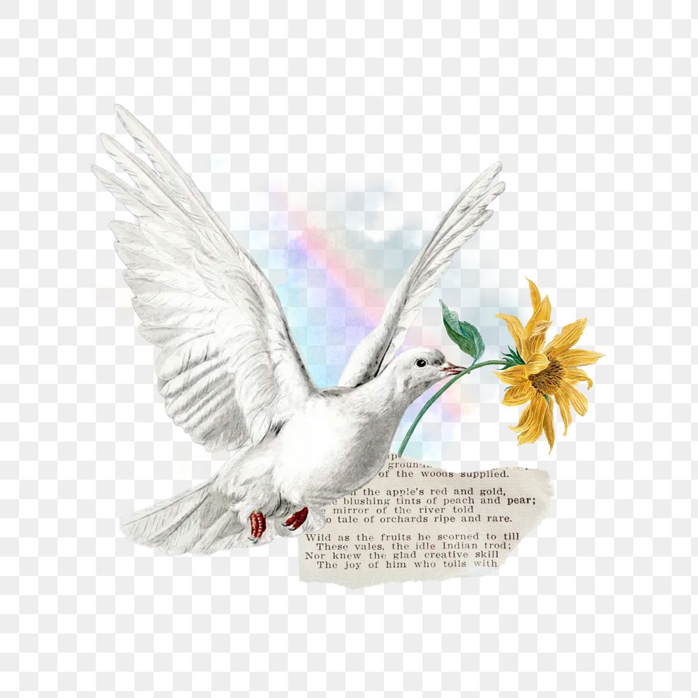 Vintage flying dove png, floral aesthetic, transparent background. Remixed by rawpixel.