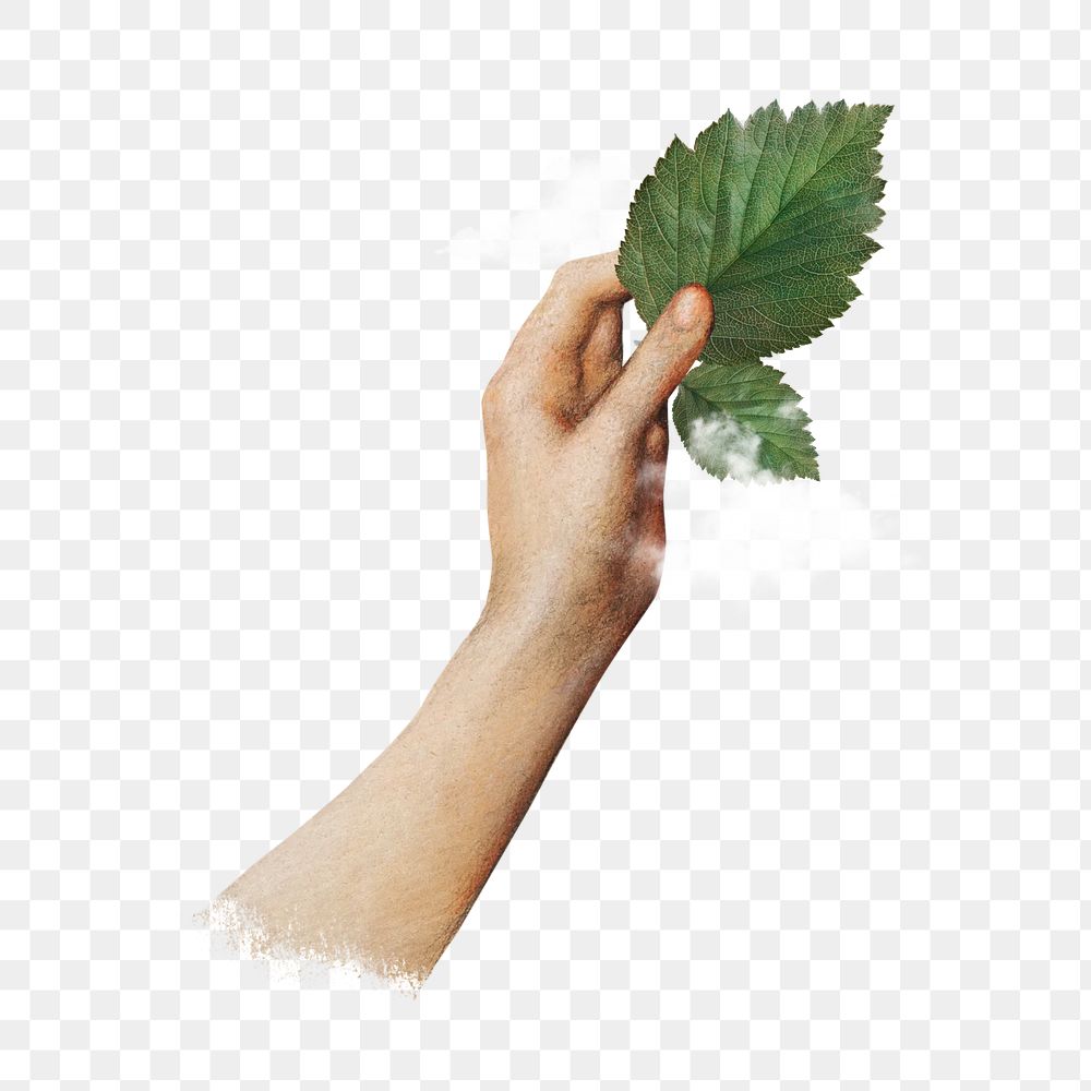 Hand holding leaf png, clean air, transparent background. Remixed by rawpixel.