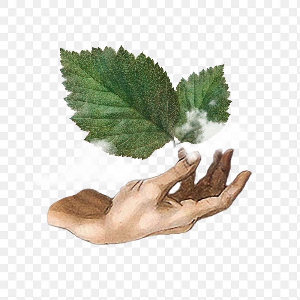 Fresh air png, hand presenting leaf & cloud, transparent background. Remixed by rawpixel.