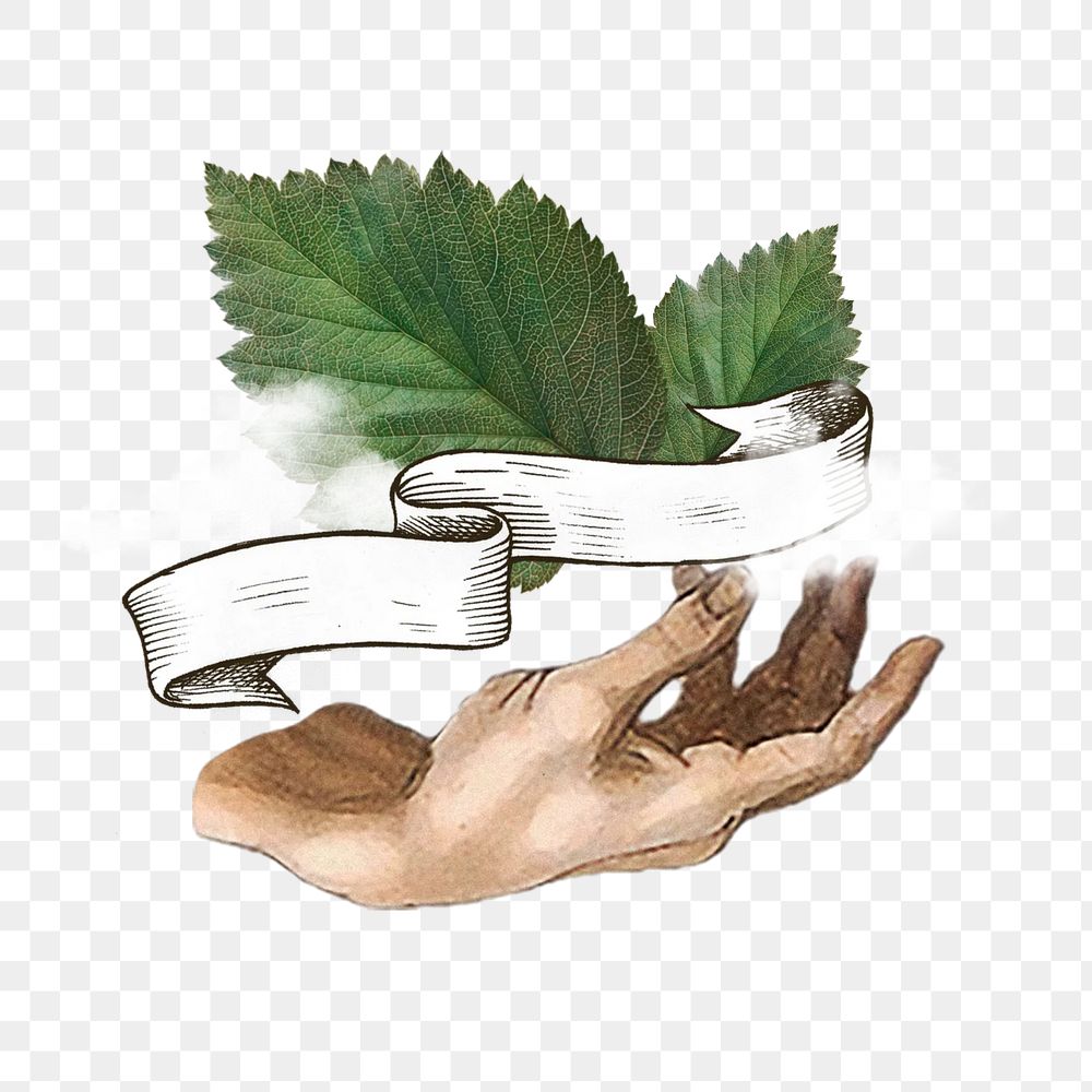 Fresh air png, hand presenting leaf & cloud, transparent background. Remixed by rawpixel.