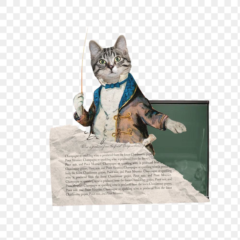 Cat dressed png teacher, education collage, transparent background. Remixed by rawpixel.