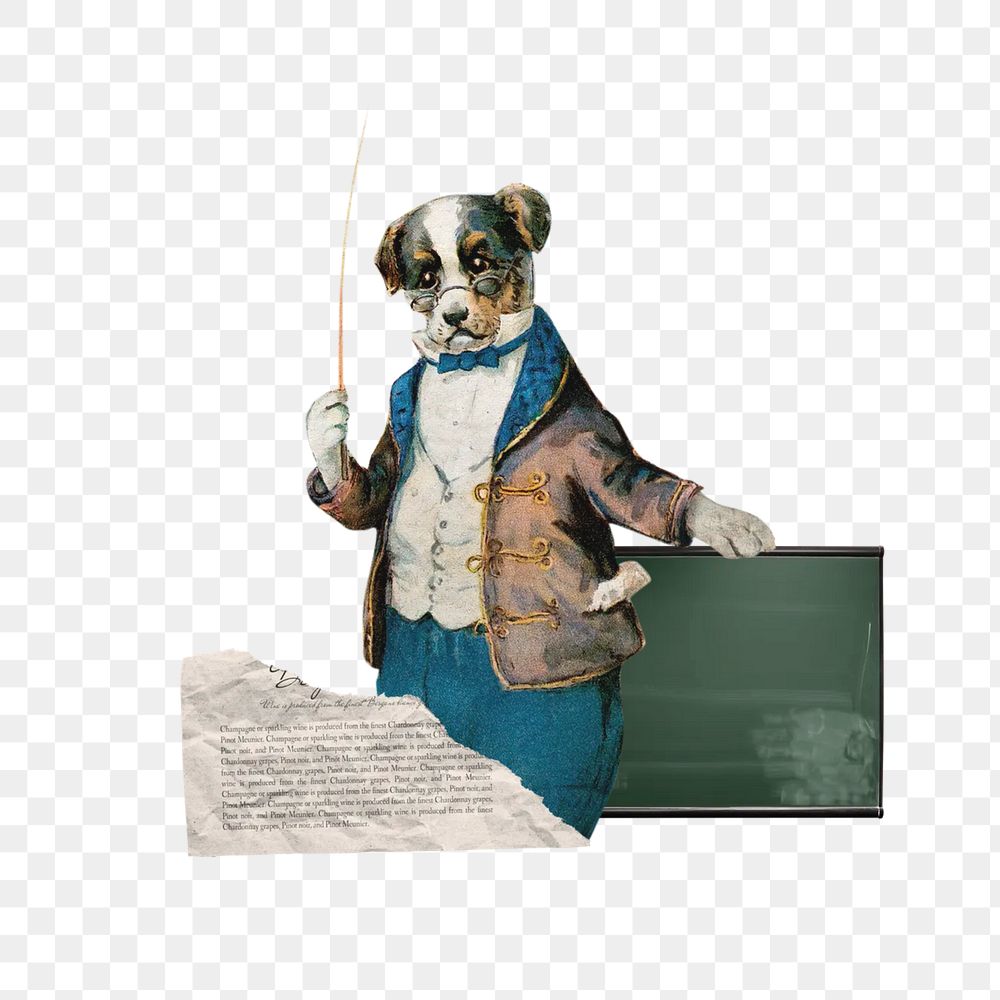 Dog dressed png teacher, education collage, transparent background. Remixed by rawpixel.