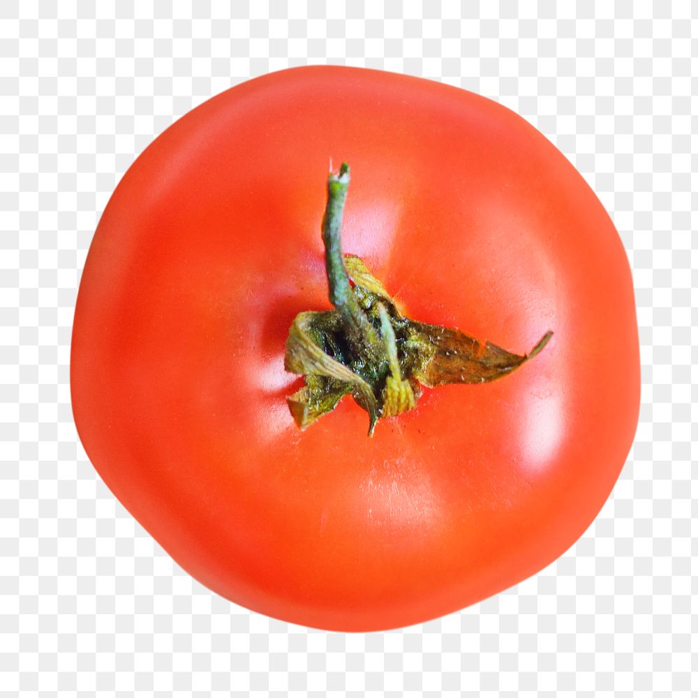 Fresh red tomato  png, transparent background
