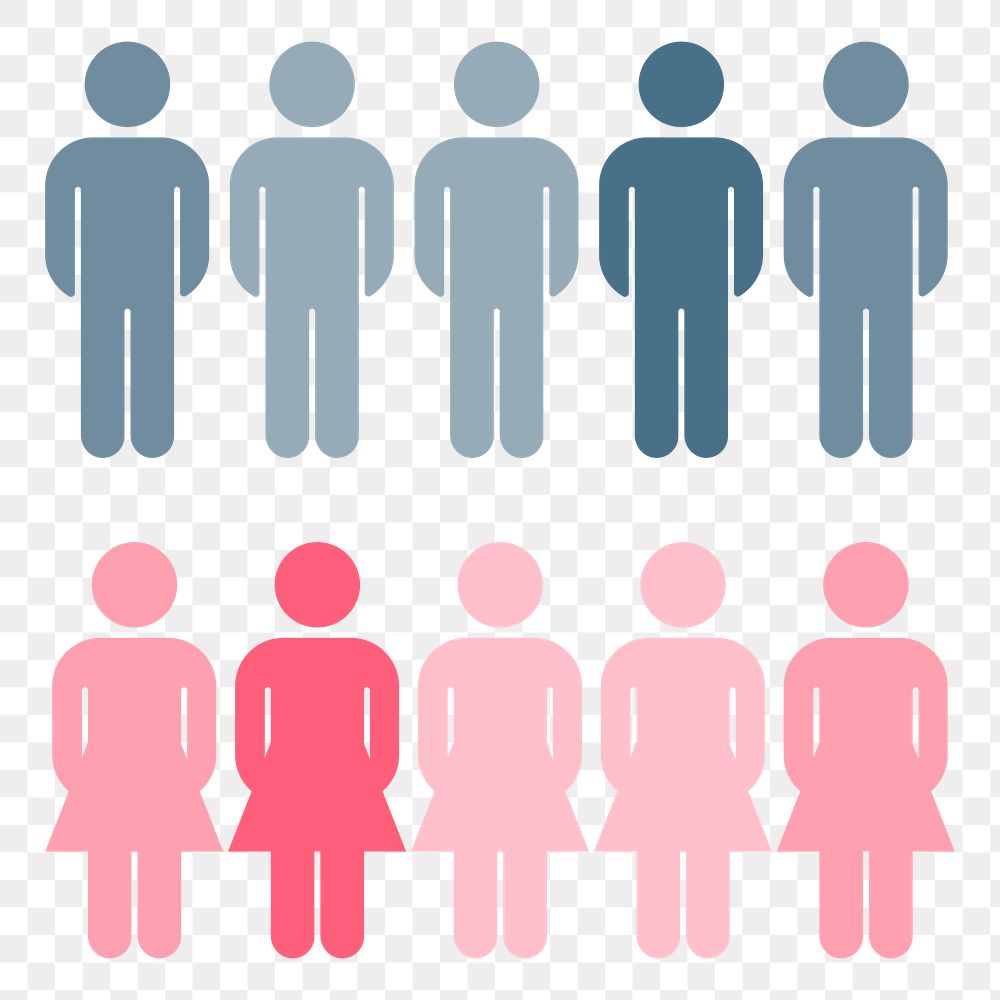 PNG Corporate gender distribution statistics  transparent background
